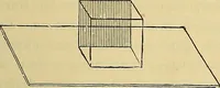 An illustration from Handbuch der klinischen Mikroskopie : mit Berücksichtigung der wichtigsten chemischen Untersuchungen am Krankenbette und der Verwendung des Mikroskopes in der gerichtlichen Medicin (1883)