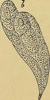 An illustration from Handbuch der klinischen Mikroskopie : mit Berücksichtigung der wichtigsten chemischen Untersuchungen am Krankenbette und der Verwendung des Mikroskopes in der gerichtlichen Medicin (1883)