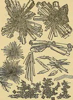 An illustration from Handbuch der klinischen Mikroskopie : mit Berücksichtigung der wichtigsten chemischen Untersuchungen am Krankenbette und der Verwendung des Mikroskopes in der gerichtlichen Medicin (1883)