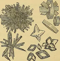 An illustration from Handbuch der klinischen Mikroskopie : mit Berücksichtigung der wichtigsten chemischen Untersuchungen am Krankenbette und der Verwendung des Mikroskopes in der gerichtlichen Medicin (1883)