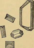 An illustration from Handbuch der klinischen Mikroskopie : mit Berücksichtigung der wichtigsten chemischen Untersuchungen am Krankenbette und der Verwendung des Mikroskopes in der gerichtlichen Medicin (1883)