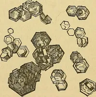 An illustration from Handbuch der klinischen Mikroskopie : mit Berücksichtigung der wichtigsten chemischen Untersuchungen am Krankenbette und der Verwendung des Mikroskopes in der gerichtlichen Medicin (1883)