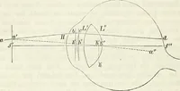 An illustration from Handbuch der medicinischen Physik (1867)