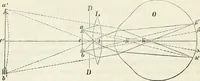 Picture 48 of 101 from Handbuch der medicinischen Physik (1867), leaf 297