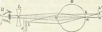 An illustration from Handbuch der medicinischen Physik (1867)