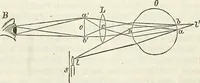 An illustration from Handbuch der medicinischen Physik (1867)