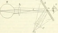 Picture 57 of 101 from Handbuch der medicinischen Physik (1867), leaf 322