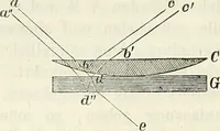 Picture 62 of 101 from Handbuch der medicinischen Physik (1867), leaf 335