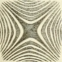 An illustration from Handbuch der medicinischen Physik (1867)