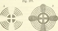 An illustration from Handbuch der medicinischen Physik (1867)