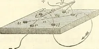 Picture 80 of 101 from Handbuch der medicinischen Physik (1867), leaf 482