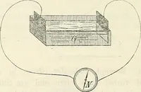 Picture 82 of 101 from Handbuch der medicinischen Physik (1867), leaf 485