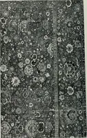 An illustration from Handbuch der orientalischen Teppichkunde (1922)