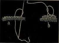 An illustration from Handbuch der Spitzenkunde, Technisches und Geschichtliches über die Näh-, Klöppel- und Maschinenspitzen (1894)