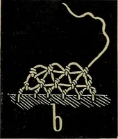 An illustration from Handbuch der Spitzenkunde, Technisches und Geschichtliches über die Näh-, Klöppel- und Maschinenspitzen (1894)