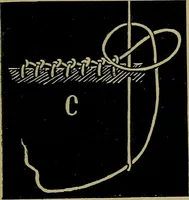 An illustration from Handbuch der Spitzenkunde, Technisches und Geschichtliches über die Näh-, Klöppel- und Maschinenspitzen (1894)