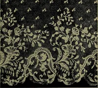 An illustration from Handbuch der Spitzenkunde, Technisches und Geschichtliches über die Näh-, Klöppel- und Maschinenspitzen (1894)