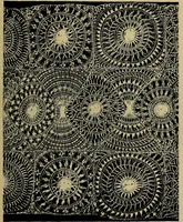 An illustration from Handbuch der Spitzenkunde, Technisches und Geschichtliches über die Näh-, Klöppel- und Maschinenspitzen (1894)