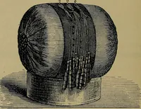An illustration from Handbuch der Spitzenkunde, Technisches und Geschichtliches über die Näh-, Klöppel- und Maschinenspitzen (1894)
