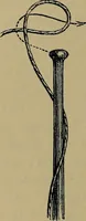An illustration from Handbuch der Spitzenkunde, Technisches und Geschichtliches über die Näh-, Klöppel- und Maschinenspitzen (1894)