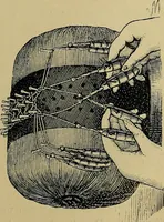 An illustration from Handbuch der Spitzenkunde, Technisches und Geschichtliches über die Näh-, Klöppel- und Maschinenspitzen (1894)