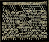 An illustration from Handbuch der Spitzenkunde, Technisches und Geschichtliches über die Näh-, Klöppel- und Maschinenspitzen (1894)