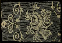 An illustration from Handbuch der Spitzenkunde, Technisches und Geschichtliches über die Näh-, Klöppel- und Maschinenspitzen (1894)