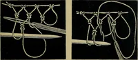 An illustration from Handbuch der Spitzenkunde, Technisches und Geschichtliches über die Näh-, Klöppel- und Maschinenspitzen (1894)
