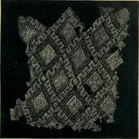 An illustration from Handbuch der Spitzenkunde, Technisches und Geschichtliches über die Näh-, Klöppel- und Maschinenspitzen (1894)