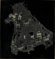 An illustration from Handbuch der Spitzenkunde, Technisches und Geschichtliches über die Näh-, Klöppel- und Maschinenspitzen (1894)