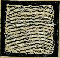 An illustration from Handbuch der Spitzenkunde, Technisches und Geschichtliches über die Näh-, Klöppel- und Maschinenspitzen (1894)