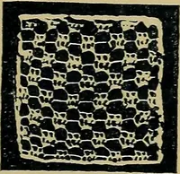 An illustration from Handbuch der Spitzenkunde, Technisches und Geschichtliches über die Näh-, Klöppel- und Maschinenspitzen (1894)