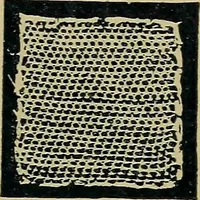 An illustration from Handbuch der Spitzenkunde, Technisches und Geschichtliches über die Näh-, Klöppel- und Maschinenspitzen (1894)
