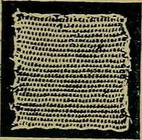 An illustration from Handbuch der Spitzenkunde, Technisches und Geschichtliches über die Näh-, Klöppel- und Maschinenspitzen (1894)