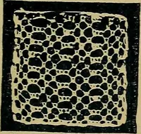 An illustration from Handbuch der Spitzenkunde, Technisches und Geschichtliches über die Näh-, Klöppel- und Maschinenspitzen (1894)