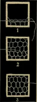 An illustration from Handbuch der Spitzenkunde, Technisches und Geschichtliches über die Näh-, Klöppel- und Maschinenspitzen (1894)