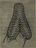 An illustration from Handbuch der Spitzenkunde, Technisches und Geschichtliches über die Näh-, Klöppel- und Maschinenspitzen (1894)