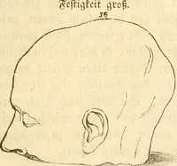 Picture 30 of 43 from Handbuch der Phrenologie (1845), leaf 167