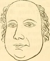 Picture 39 of 43 from Handbuch der Phrenologie (1845), leaf 200