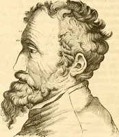Picture 40 of 43 from Handbuch der Phrenologie (1845), leaf 210