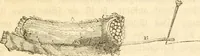 Picture 2 of 43 from Handbuch der Phrenologie (1845), leaf 27