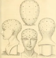 Picture 9 of 43 from Handbuch der Phrenologie (1845), leaf 73