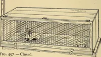 Picture 304 of 334 from Handicraft for handy boys; practical plans for work and play, with many ideas for earning money (1911), leaf 465