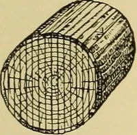 An illustration from Handicraft for handy boys; practical plans for work and play, with many ideas for earning money (1911)