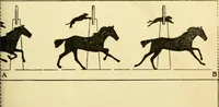 An illustration from Handicraft for handy boys; : practical plans for work and play with many ideas for earning money, (1911)