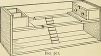 An illustration from Handicraft for handy boys; : practical plans for work and play with many ideas for earning money, (1911)