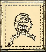 Picture 186 of 310 from Handicraft for handy boys; practical plans for work and play, with many ideas for earning money (1911), leaf 319
