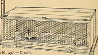Picture 282 of 310 from Handicraft for handy boys; practical plans for work and play, with many ideas for earning money (1911), leaf 464
