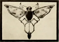 An illustration from Handicrafts in the home (1910)