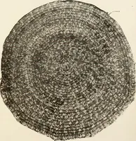 An illustration from Handicrafts in the home (1910)